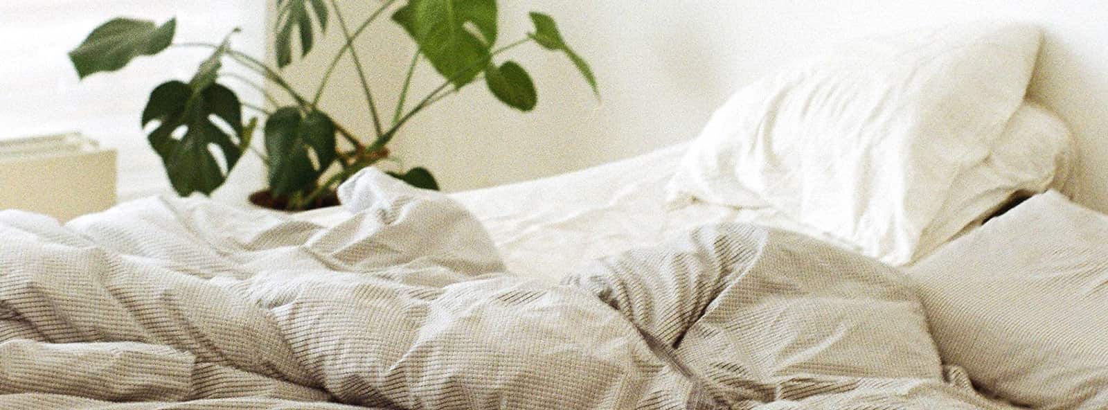 Por qué no lavar el edredón puede perjudicar tu salud