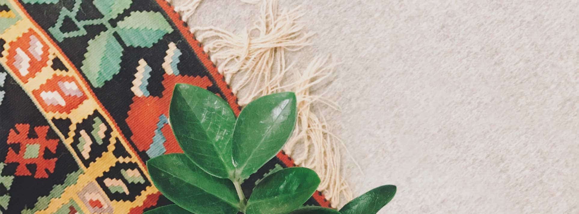 UrbanClean lanza el servicio de limpieza de alfombras a precio único