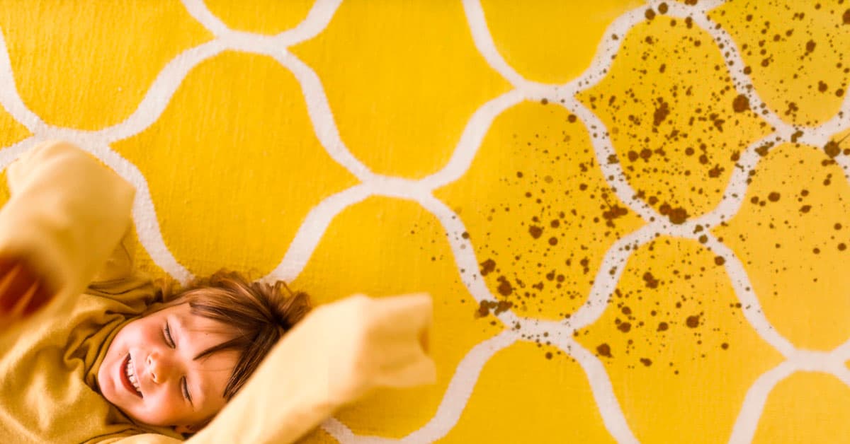 3 pasos para eliminar las manchas de tu alfombra reduciendo esfuerzos